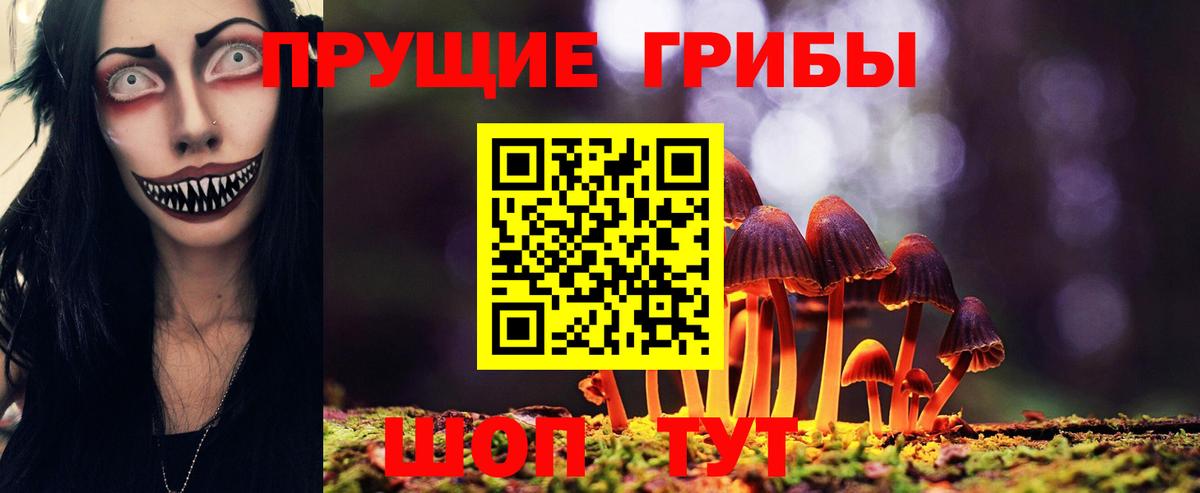 Псилоцибиновые грибы Cubensis  Вход с VPN  Галлюциногенные грибы Psilocybine cubensis  Можайск 